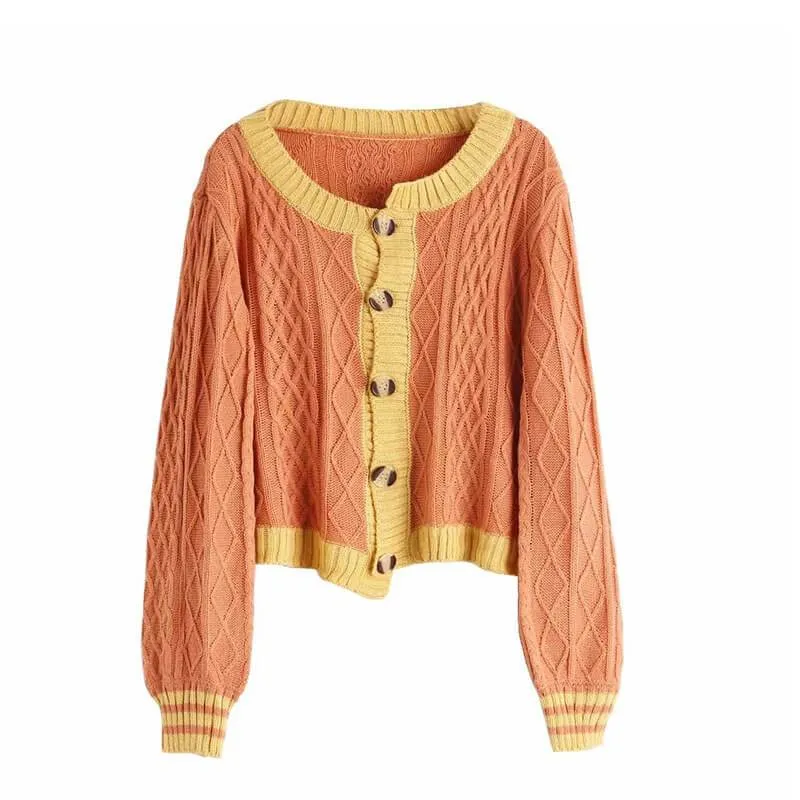 Colorblock Argil Knit Cardigan Sweater