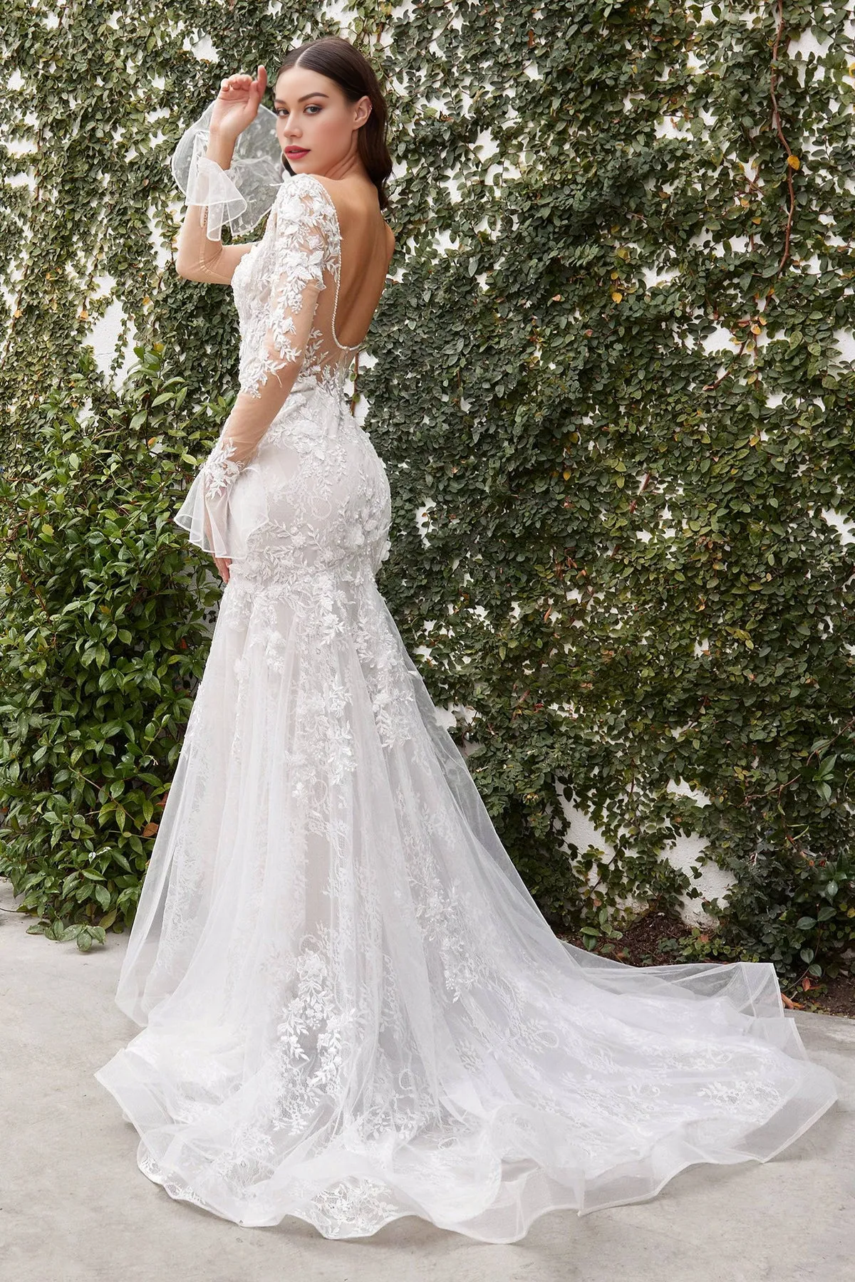 Stunning Sheer Lace Long Sleeve Mermaid Tulle Wedding Dress Sweep Train Dresses